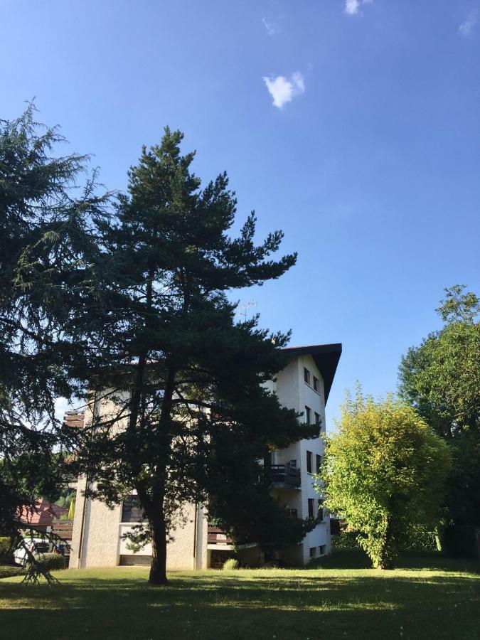Les Mermes à 10mn De Genève